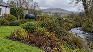 Rural garden with a stream, vegetation and domestic heating-oil tank.